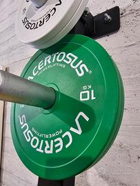 Coppia dischi 10kg Lacertosus 