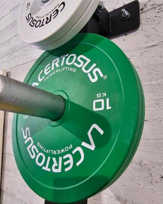 Coppia dischi 10kg Lacertosus 