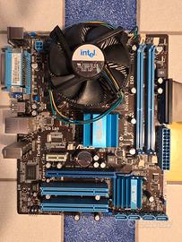 scheda madre ASUS P5G41T-M LX