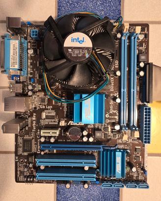 scheda madre ASUS P5G41T-M LX