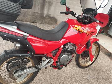 moto Honda Dominator 650