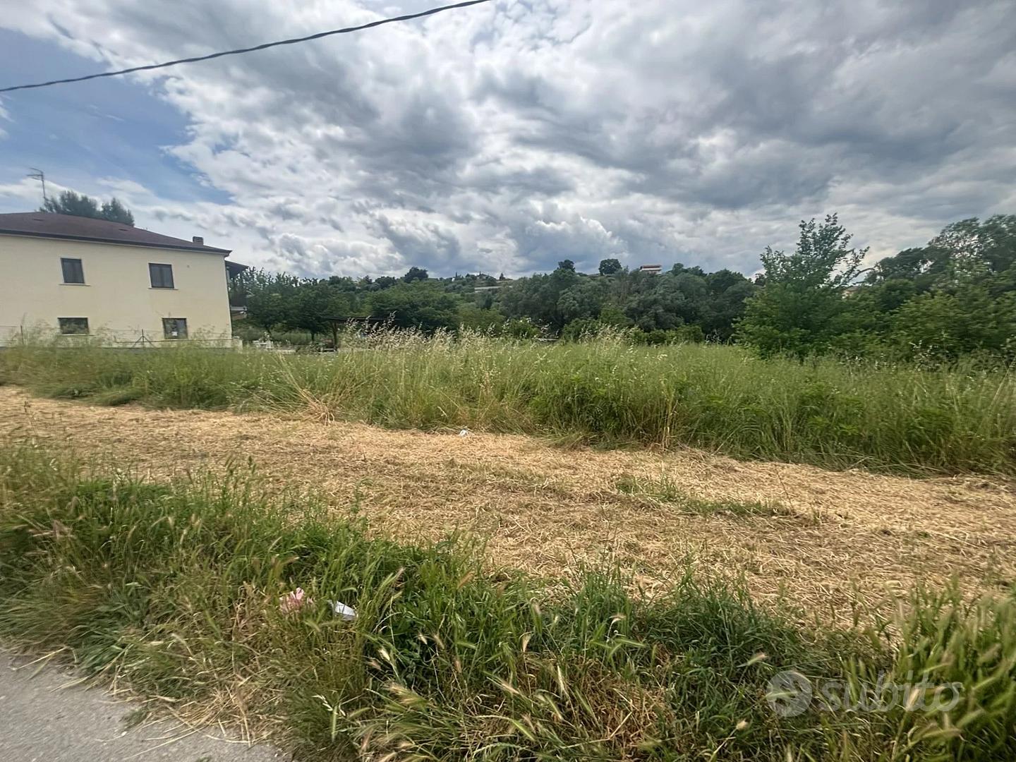 TERRENO AGRICOLO - Vista 2