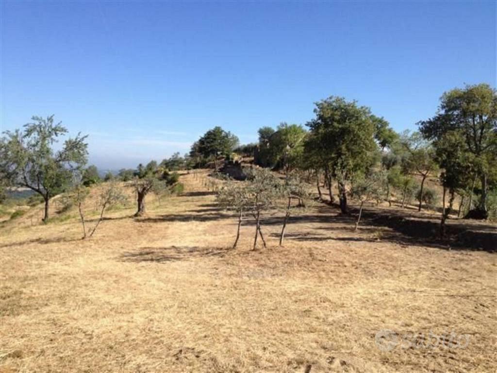 Rustico / Casale di 300 m² con 4 locali e box auto - Vista 5