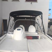barca boston whaler 15 sport