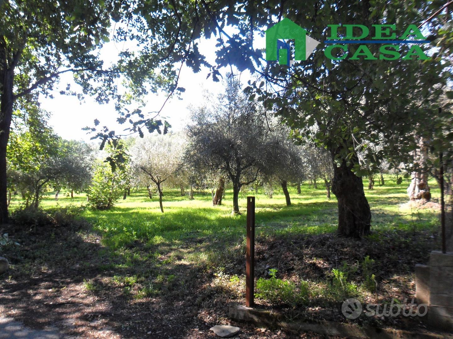4500mq Terreno pianeggiante - Vista 3