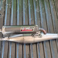 giannelli minarelli orizzontale 