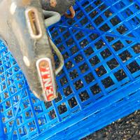 sella bicicletta vintage