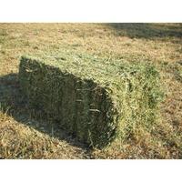 Fieno di erba medica