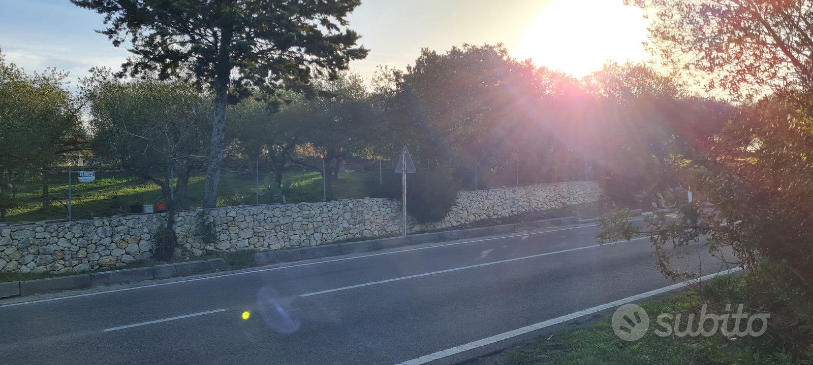Terreno oliveto (Ittiri) - Vista 3