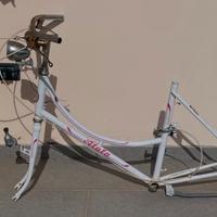 Telaio bici Atala College