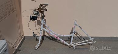 Telaio bici Atala College