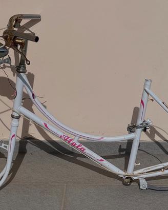 Telaio bici Atala College