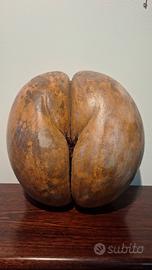 Coco de Mer