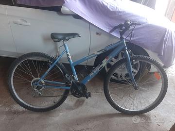 bicicletta