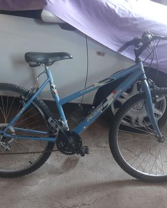 bicicletta