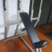 Panca 45° technogym