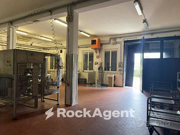 SALA BAGANZA (PR)- CAPANNONE / DEPOSITO LIBERO