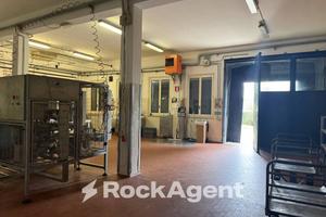 SALA BAGANZA (PR)- CAPANNONE / DEPOSITO LIBERO