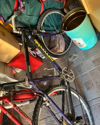 Mountain bike Cannondale CAD2