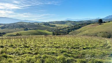 Terreno agricolo