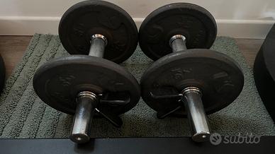 Coppia Manubri Componibili Ghisa