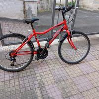 bici Cosentino 