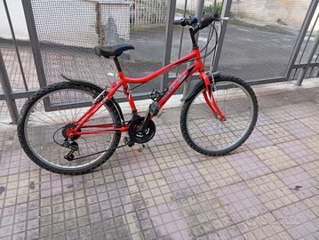 bici Cosentino 