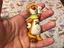 Immagine 1