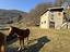 Immagine 12