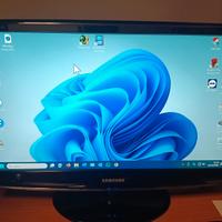 monitor samsung syncmaster 2433
