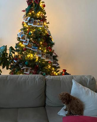Albero di Natale