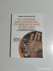 Il cammino dell'adozione. Un meraviglioso ritrovar