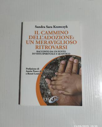 Il cammino dell'adozione. Un meraviglioso ritrovar