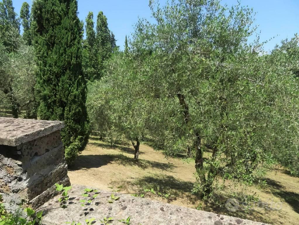 Immobile in asta di 50 m² con più di 5 locali e bo - Vista 2