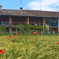 Tipica Cascina Lombarda '800 a 25 min MM3 S.Donato