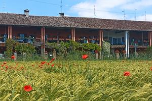 Tipica Cascina Lombarda '800 a 25 min MM3 S.Donato