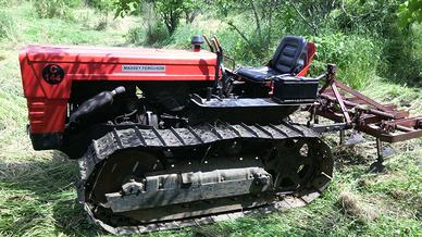 Trattore cingolato Massey Ferguson 144