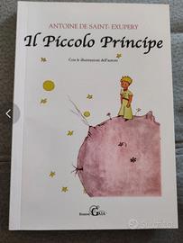 Libro piccolo principe