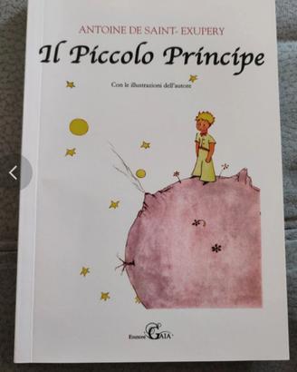 Libro piccolo principe