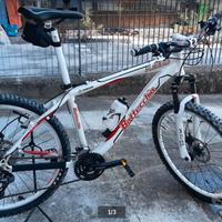 Mountain bike in alluminio BOTTECCHIA