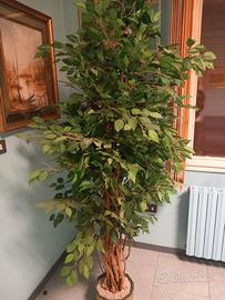 2 piante finte verde