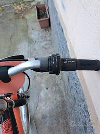 bicicletta raggio 24