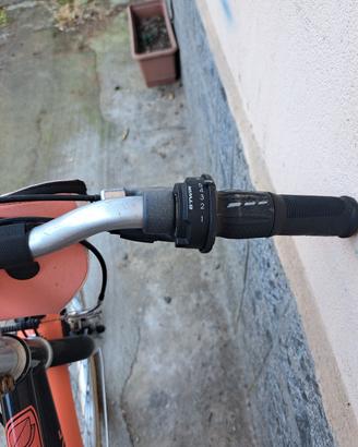 bicicletta raggio 24