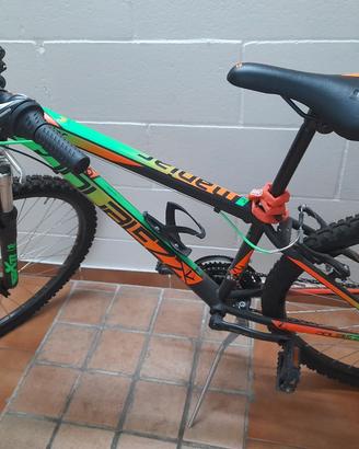 bicicletta
