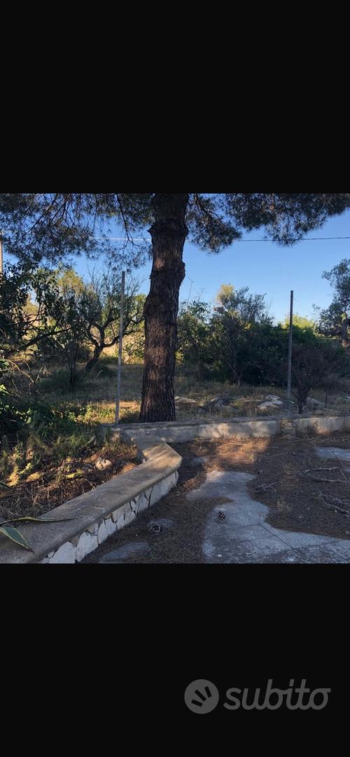 Terreno agricolo no casa - Vista 3