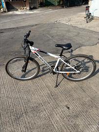 biciclette bimbo