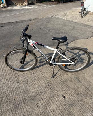 biciclette bimbo