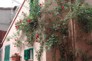 Trilocale, Ischia di Castro