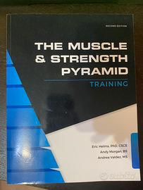 The Muscle & Strength Pyramid - Training