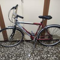 bottecchia bici da passeggio uomo